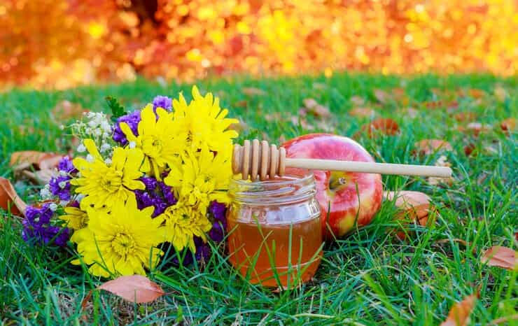 تصویر 4 از قیمت عسل چند گیاه کوهی با کیفیت ارزان و خرید عمده